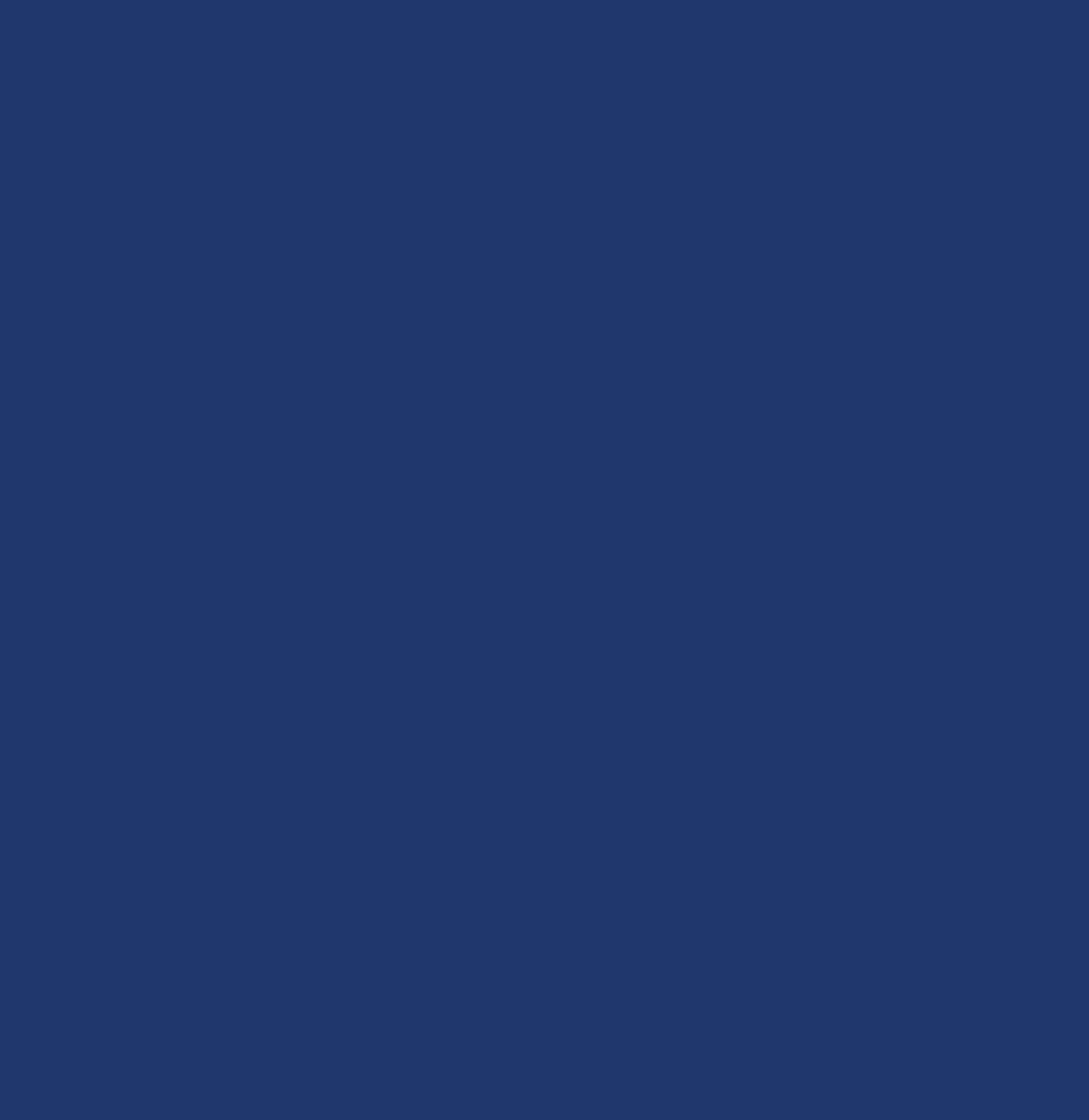 Blue Wallpaper/ Deep Blue Solid Color Wallpaper/ Removable Wallpaper/ Peel and Stick Wallpaper/ Unpasted/ Pre-Pasted Wallpaper WW2038