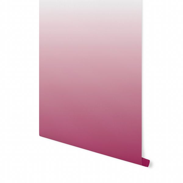 Berry Fizz Ombre Wallpaper WW2133