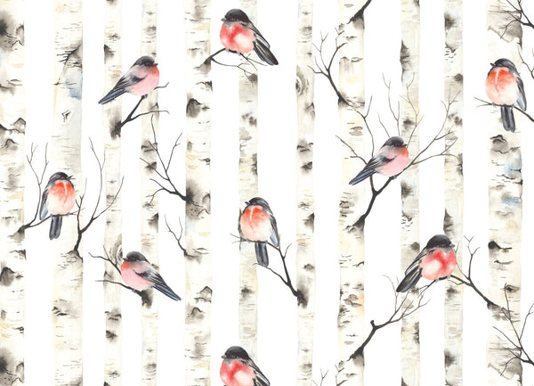 Wallpaper Gray Red/ Watercolor Birch Trees & Birds Wallpaper/ Removable/ Peel and Stick/ Unpasted/ Pre-Pasted Wallpaper WW2152