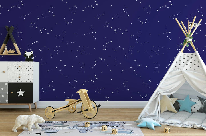 Peel and Stick Wallpaper Nursery/ Constellation Wallpaper/ Removable Wallpaper/ Unpasted Wallpaper/ Pre-Pasted Wallpaper WW2071