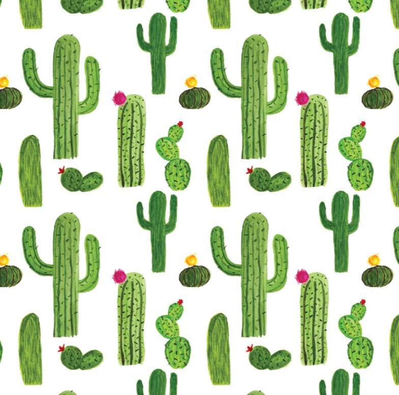 Peel and Stick Wallpaper Green/ Cactus Watercolor Wallpaper/ Removable Wallpaper/ Unpasted Wallpaper/ Pre-Pasted Wallpaper WW20105