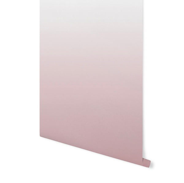 Wallpaper Ombre Pink/ Peel and Stick Wallpaper/ Parisian Pink Ombre Wallpaper/ Removable Wallpaper/ Unpasted Wallpaper/ Pre-Pasted WW2115