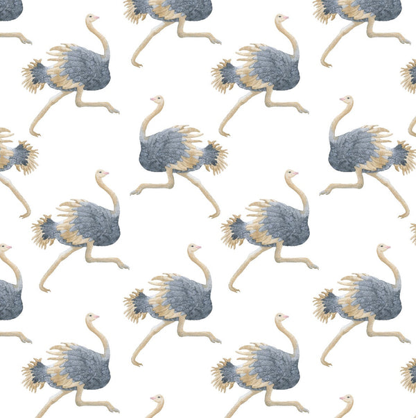 Ostrich Wallpaper/ Removable/ Peel and Stick/ Unpasted/ Pre-Pasted Wallpaper WW1842