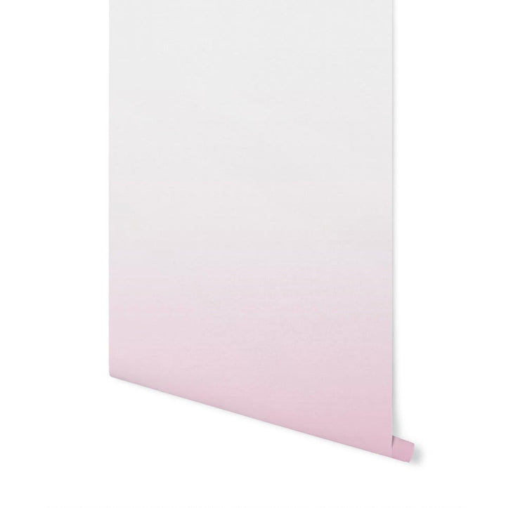 Wallpaper Ombre Pink/ Peel and Stick Wallpaper/ Ballerina Pink Ombre Wallpaper/ Removable Wallpaper/ Unpasted/ Pre-Pasted WW1902