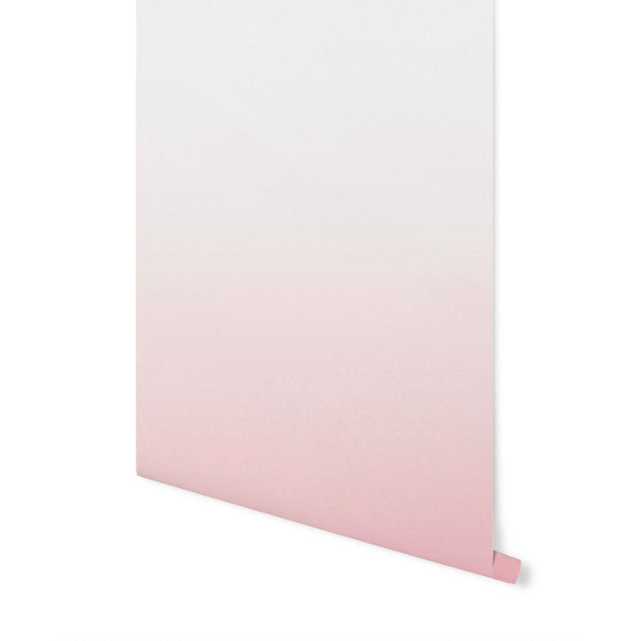 Wallpaper Ombre Pink/ Peel and Stick/ Grapefruit Kisses Ombre Wallpaper/ Removable/ Unpasted Wallpaper/ Pre-Pasted Wallpaper WW1815