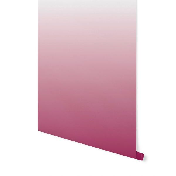 Wallpaper Ombre Pink/ Peel and Stick Wallpaper/ Berry Fizz Pink Ombre Wallpaper/ Removable Wallpaper/ Unpasted/ Pre-Pasted Wallpaper WW2133