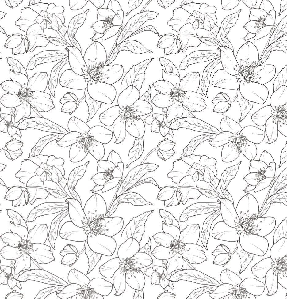 Wallpaper Floral Black White/ Winter Rose Black and White Wallpaper/Flower/ Botanical/ Removable/ Unpasted Pre-Pasted Wallpaper WW2016