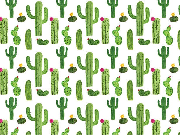 Peel and Stick Wallpaper Green/ Cactus Watercolor Wallpaper Small/ Removable Wallpaper/ Unpasted Wallpaper/ Pre-Pasted Wallpaper