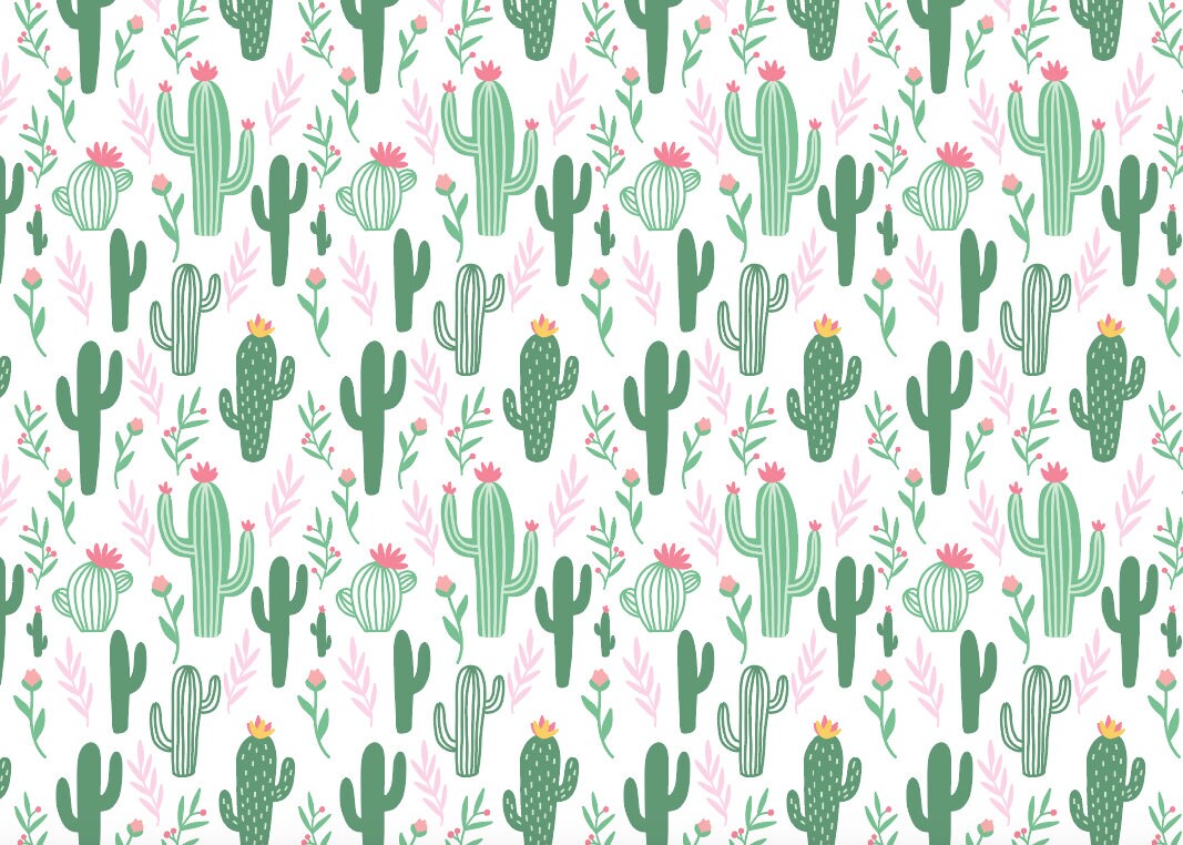 HD cute cactus wallpapers  Peakpx