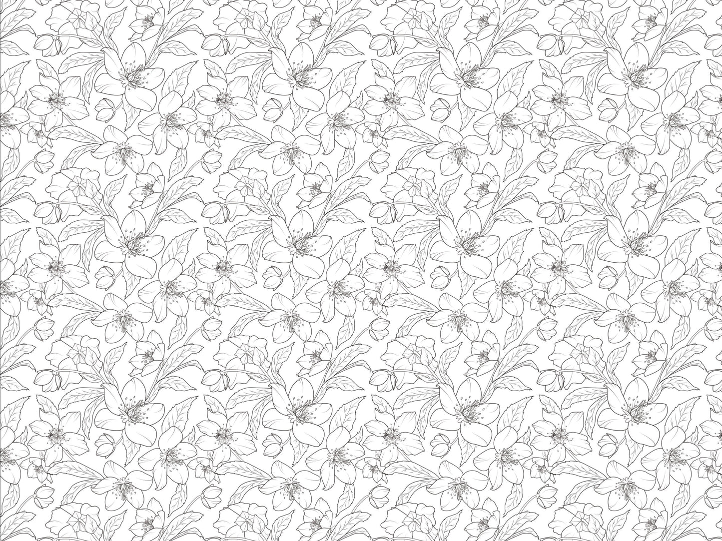 Wallpaper Floral Black White/ Winter Rose Black and White Wallpaper/Flower/ Botanical/ Removable/ Unpasted Pre-Pasted Wallpaper WW2015
