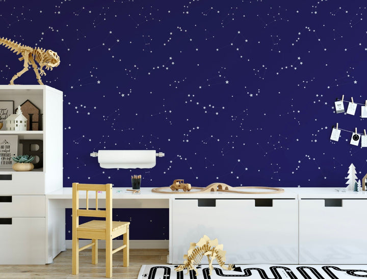 Peel and Stick Wallpaper Nursery/ Constellation Wallpaper/ Removable Wallpaper/ Unpasted Wallpaper/ Pre-Pasted Wallpaper WW2071